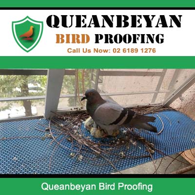 Effective bird proofing netting solution protecting residential building in Queanbeyan NSW